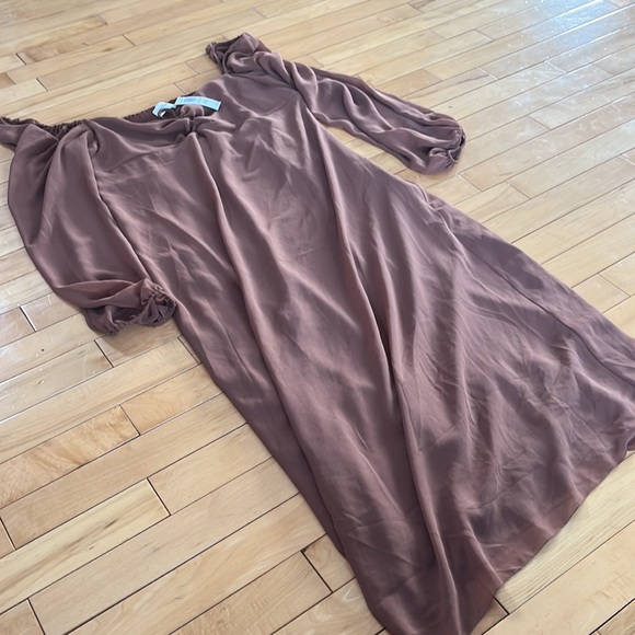 wilfred jacqueline dress epicurean brown NEW WITH TAGS - Picture 5 of 9